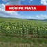 Teren de vânzare Moacsa - 175960TV - Poza 4 din 4 | BLITZ Sfântu Gheorghe | Poza4