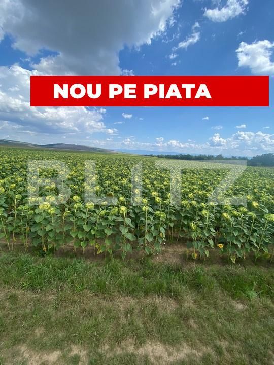 Teren de vânzare Moacsa - 175960TV | BLITZ Sfântu Gheorghe | Poza1