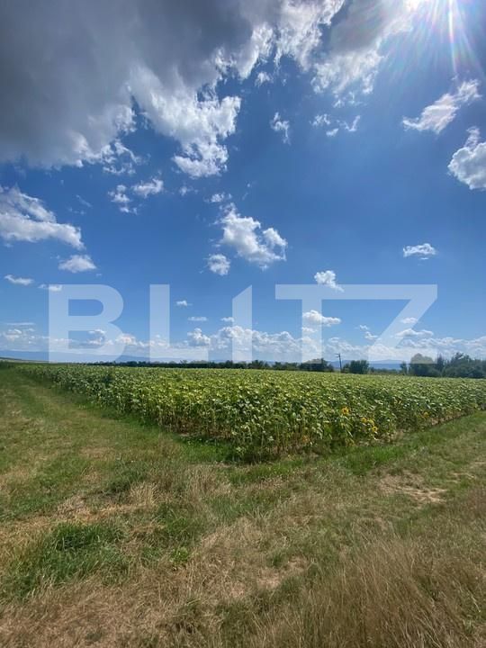 Teren de vânzare Moacsa - 175960TV | BLITZ Sfântu Gheorghe | Poza2