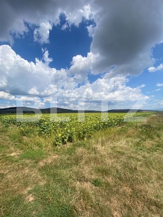 Teren de vânzare Moacsa - 175960TV | BLITZ Sfântu Gheorghe | Poza3