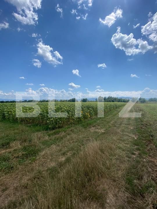 Teren de vânzare Moacsa - 175960TV | BLITZ Sfântu Gheorghe | Poza4