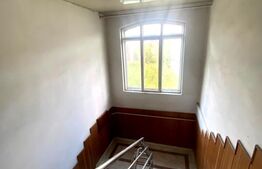 Clădire mixtă cu teren și hală – vad comercial DN11, Ozun