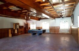 Clădire mixtă cu teren și hală – vad comercial DN11, Ozun