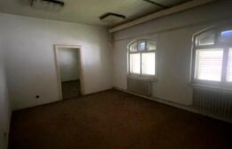 Clădire mixtă cu teren și hală – vad comercial DN11, Ozun