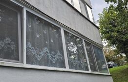 Apartament cu 2 camere, parter inalt cu balcon, cartierul Simeria