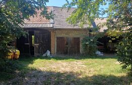 Casa taraneasca  .Dalnic