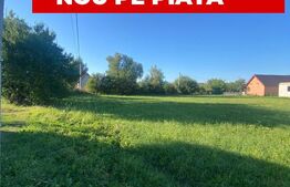 Teren intravilan în Boroșneul Mare – Panorama superbă