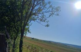 Casa taraneasca cu 3 camere, Turia Jos,