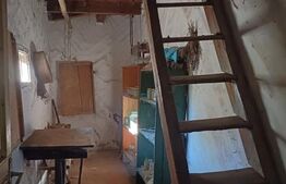 Casa taraneasca cu 3 camere, Turia Jos,