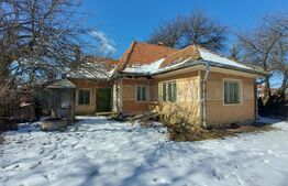 Casa taraneasca cu 3 camere, Turia Jos,