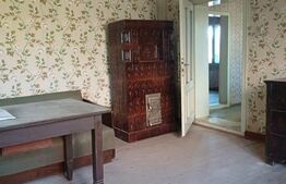 Casa taraneasca cu 3 camere, Turia Jos,