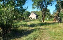 Casa taraneasca cu 3 camere, Turia Jos,