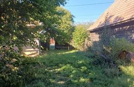 Casa taraneasca cu 3 camere, Turia Jos,