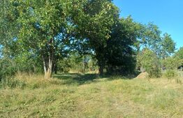 Casa taraneasca cu 3 camere, Turia Jos,