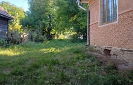 Casa taraneasca cu 3 camere, Turia Jos,