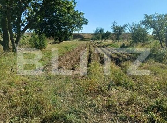 Casa de vânzare 3 camere Targu Secuiesc - 176590CV | BLITZ Sfântu Gheorghe | Poza6