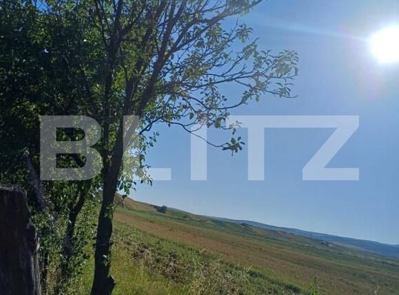 Casa de vânzare 3 camere Targu Secuiesc - 176590CV | BLITZ Sfântu Gheorghe | Poza6