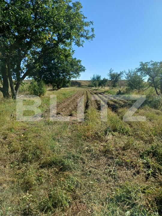 Casa de vânzare 3 camere Targu Secuiesc - 176590CV | BLITZ Sfântu Gheorghe | Poza5