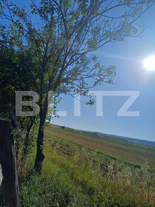 Casa de vânzare 3 camere Targu Secuiesc - 176590CV | BLITZ Sfântu Gheorghe | Poza7