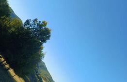 Teren de vânzare Periferie - 183094TV | BLITZ Sfântu Gheorghe | Poza1