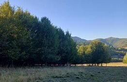 Teren extravila in inima naturii