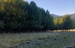 Teren extravilan in inima naturii