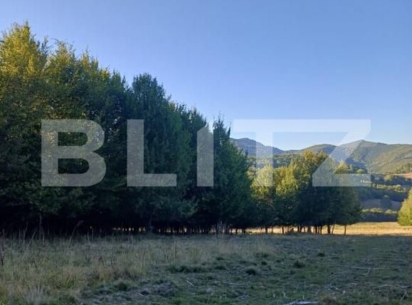Teren de vânzare Turia - 176593TV | BLITZ Sfântu Gheorghe | Poza2