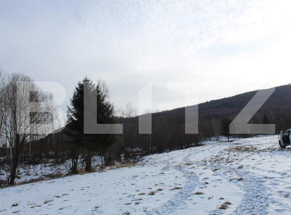 Teren de vânzare Targu Secuiesc - 176593TV | BLITZ Sfântu Gheorghe | Poza3