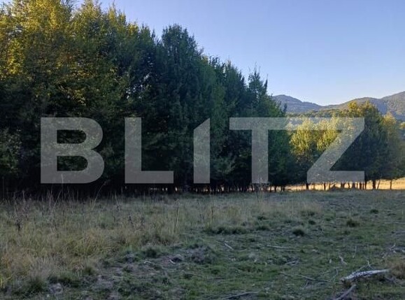 Teren de vânzare Targu Secuiesc - 176593TV | BLITZ Sfântu Gheorghe | Poza5