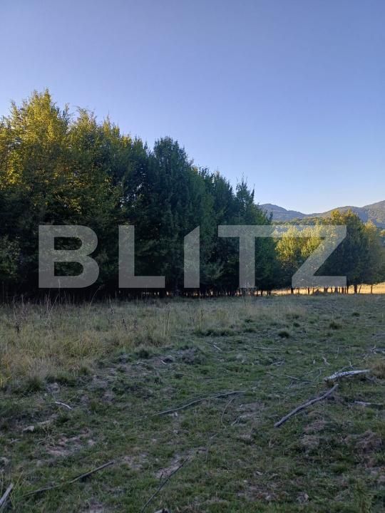 Teren de vânzare Targu Secuiesc - 176593TV | BLITZ Sfântu Gheorghe | Poza4