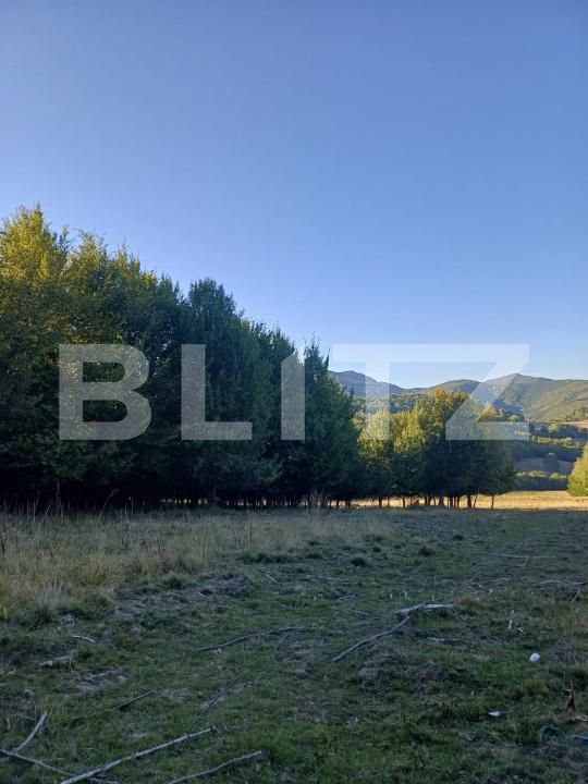 Teren de vânzare Turia - 176593TV | BLITZ Sfântu Gheorghe | Poza2