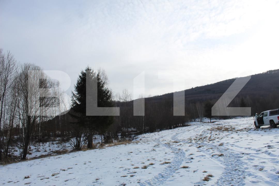 Teren de vânzare Targu Secuiesc - 176593TV | BLITZ Sfântu Gheorghe | Poza3