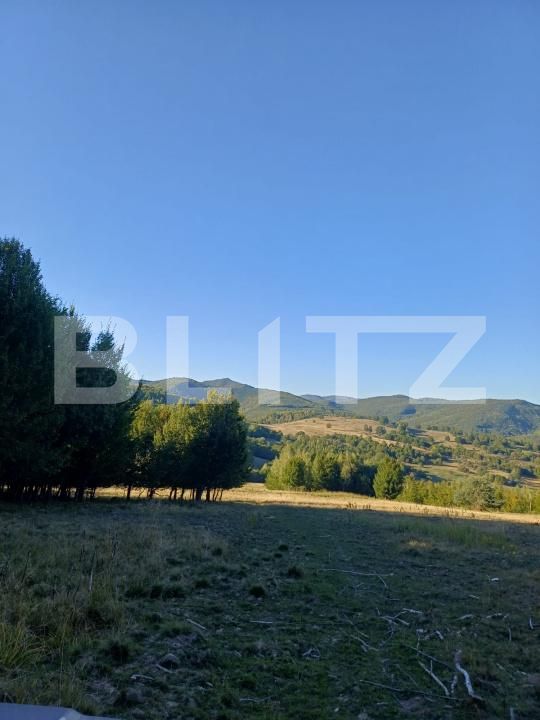 Teren de vânzare Targu Secuiesc - 176593TV | BLITZ Sfântu Gheorghe | Poza4