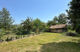 Casa taraneasca in inima naturii