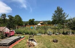 Casa taraneasca in inima naturii