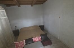 Casa taraneasca in inima naturii