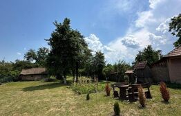 Casa taraneasca in inima naturii