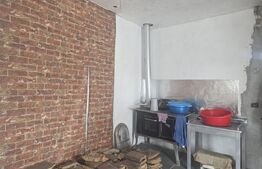 Casa taraneasca in inima naturii