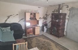 Casa taraneasca in inima naturii