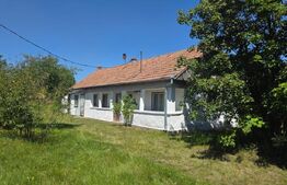 Casa tărănească in centru- Hătuica