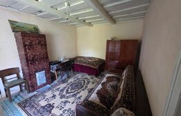 Casa tărănească in centru- Hătuica