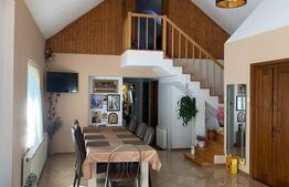 Vilă spațioasă cu 5 dormitoare și curte de 730 mp