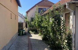 Vilă spațioasă cu 5 dormitoare și curte de 730 mp