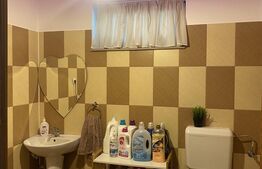 Vilă spațioasă cu 5 dormitoare și curte de 730 mp