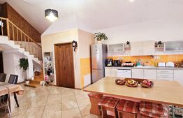 Vilă spațioasă cu 5 dormitoare și curte de 730 mp