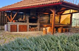 Vilă spațioasă cu 5 dormitoare și curte de 730 mp