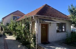 Vilă spațioasă cu 5 dormitoare și curte de 730 mp