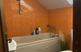 Vilă spațioasă cu 5 dormitoare și curte de 730 mp