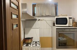 Vilă spațioasă cu 5 dormitoare și curte de 730 mp