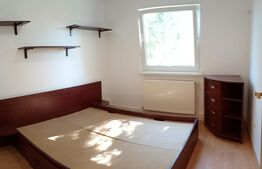 Apartament luminos cu 2 camera, mobilat, Sfantu Gheorghe, Simeria